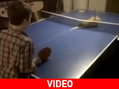 Η γάτα και το πινγκ – πονγκ